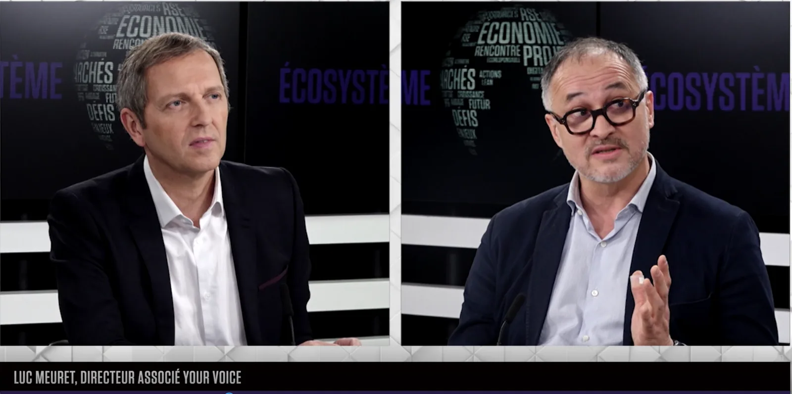 Vignette de la vidéo « ECOSYSTÈME: L’interview de Luc Meuret (YourVoice) et Léonard Briot de la Crochais (ABAQ) par Thomas Hugues »